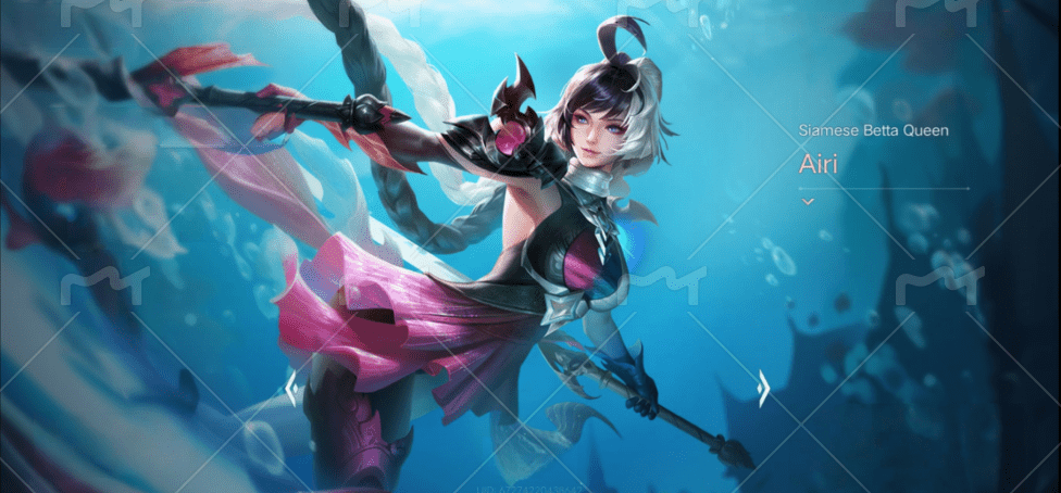 R - 0028：บัญชีนี้มีฮีโร่ 123 ตัวและสกิน 335 แบบ - uggame